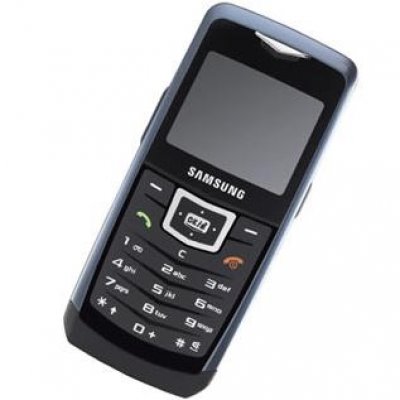 Samsung SGH-U100